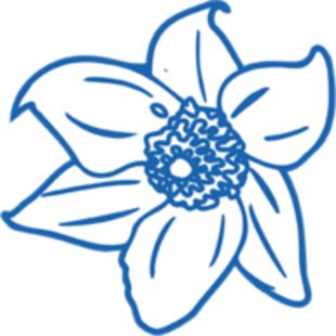 ms-icon-310×310